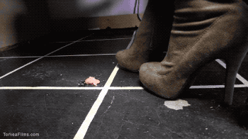 Sticky Shoes Lucy Purr